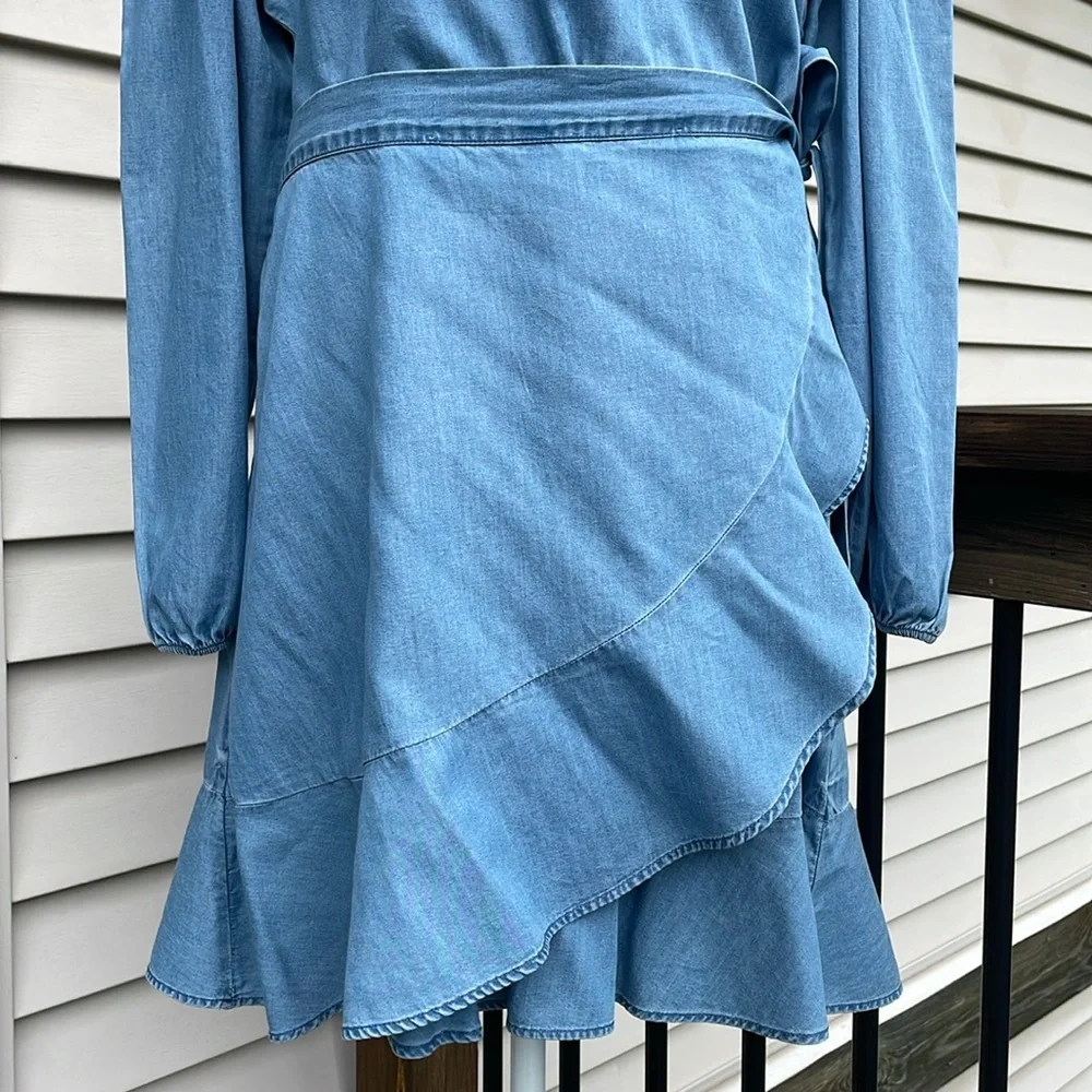 Cute Denim Dress by Express - Picture 3 of 16